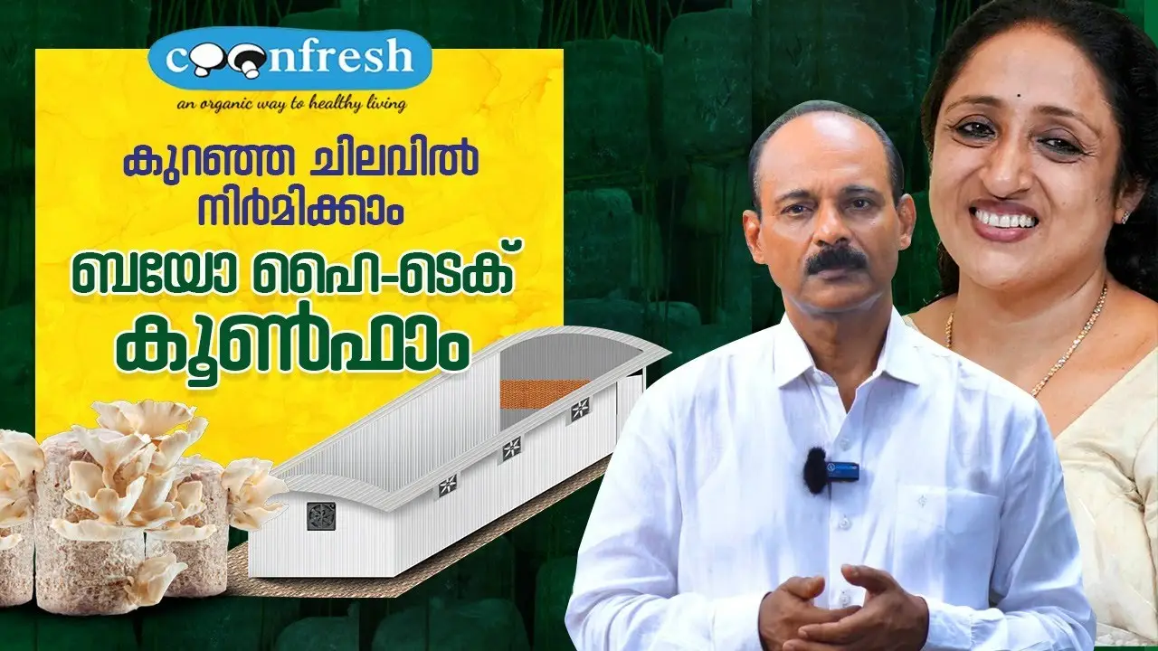 bio high tech mushroom farm oyster mushroom cultivation